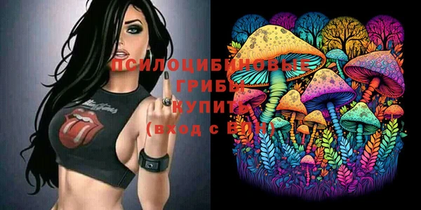 бошки Аркадак