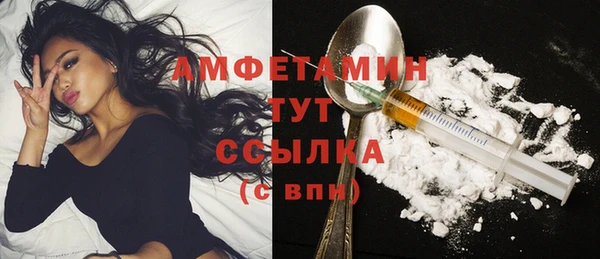 шишки Армянск