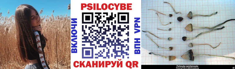 нарко площадка клад  кракен ссылки  Сосенский  Галлюциногенные грибы мухоморы 